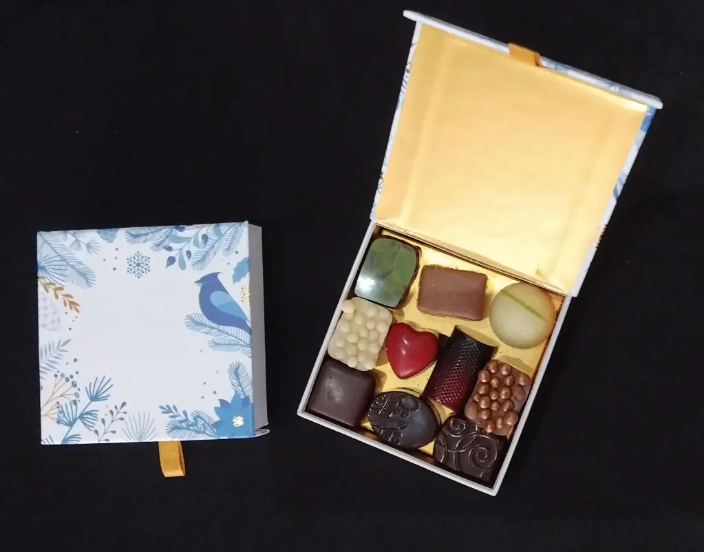 Petite boite oiseau carton